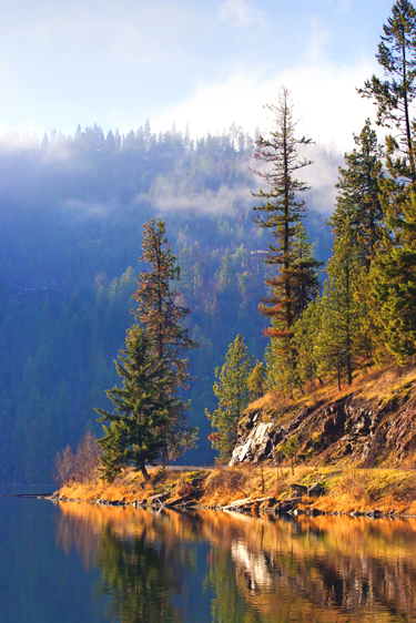 Shores of Cour d Alene Lake
